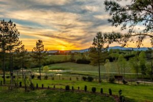 Blue Ridge Mountain scenery near Columbus, North Carolina