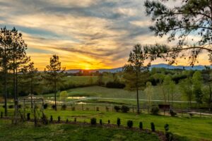 Parker Binns Winery