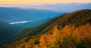 Saluda Sentinel Fall Foliage,